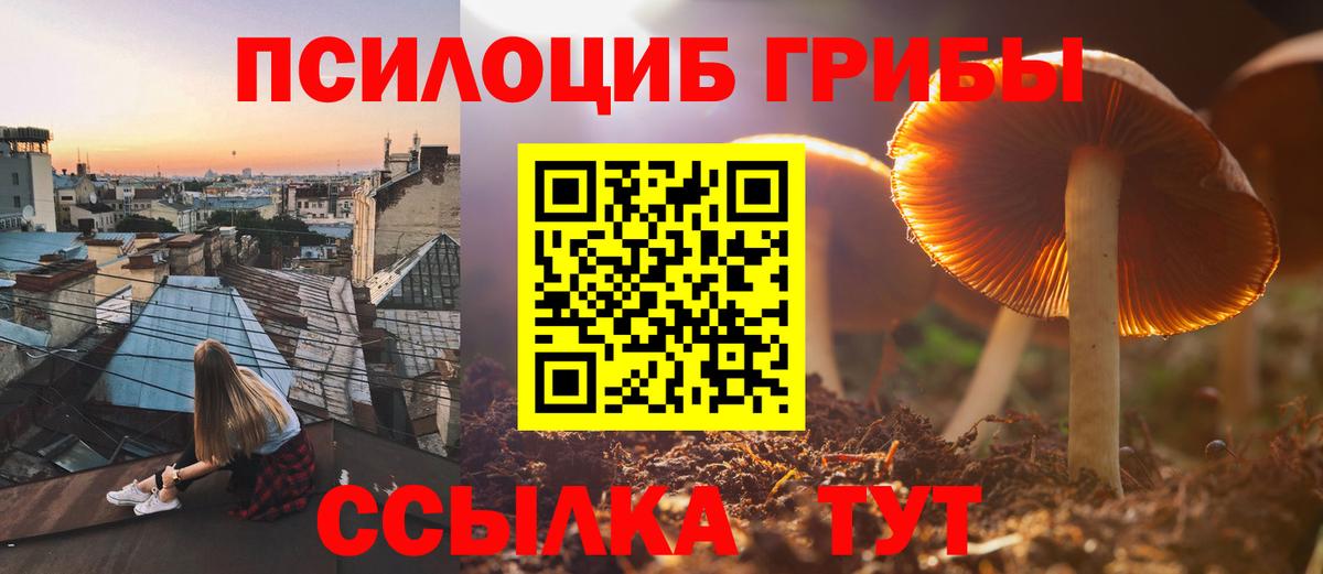 Псилоцибиновые грибы Psilocybine cubensis  дарнет шоп  Сибай  Вход с VPN  Псилоцибиновые грибы MAGIC MUSHROOMS 