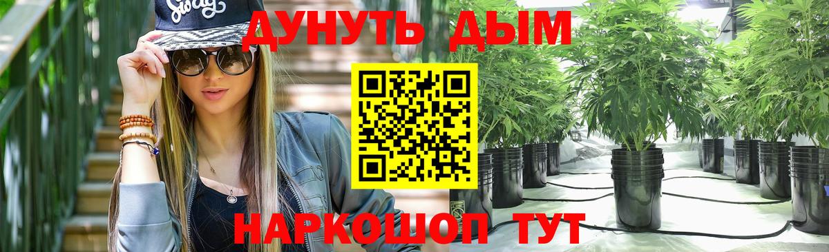 Каннабис конопля  Шишки марихуана SATIVA & INDICA  Вход с VPN  Сибай 